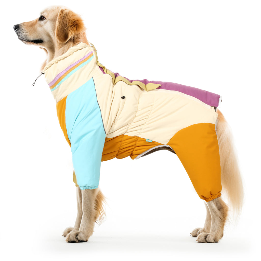 Four legged dog on sale coat