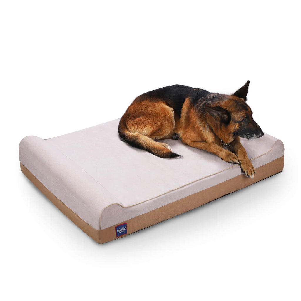 Style Meets Functionality: The Features of Laifug Jumbo Dog Bed – LaiFug