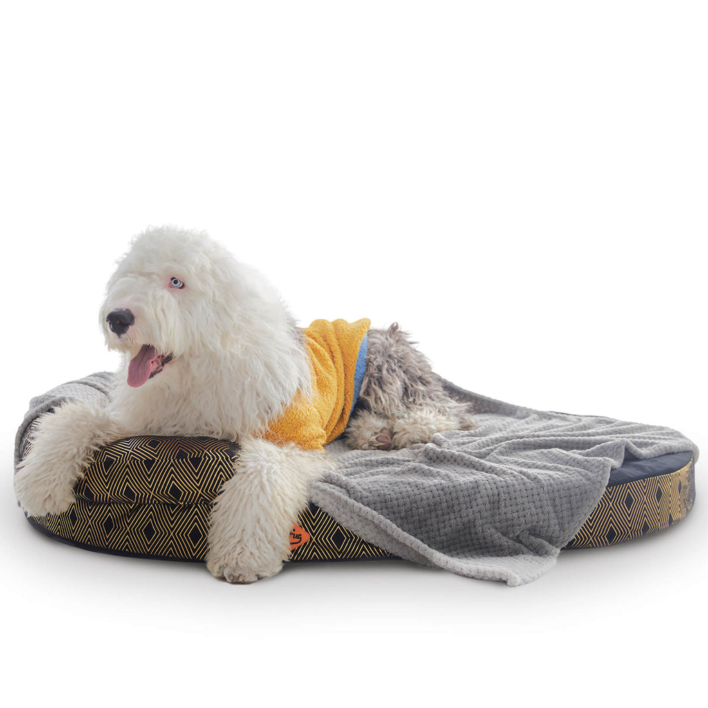 The Benefits of Orthopedic Support: Why Your Pup Needs a Laifug Oval D ...