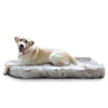 Laifug Faux Fur Dog Bed （Pre-sale）-Special offer - dog bed White / XL