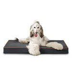 Laifug Egg - Crate Foam Dog Bed - LaiFug