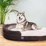 Laifug Oval Dog Bed - LaiFug