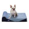 Laifug Single Pillow Dog Bed （US） - OFF 50% - LaiFug