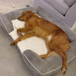 Laifug Large Dog Sofa （US） - LaiFug