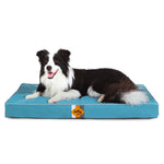 Laifug Egg - Crate Foam Dog Bed - LaiFug