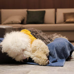 Laifug Fleece Warm Pet Blanket - LaiFug