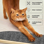 Laifug Wall Cat Scratcher - LaiFug